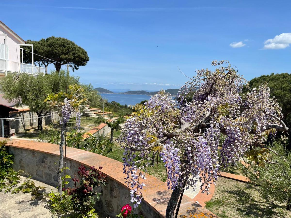 Villa Il Roseto Redinoce Проккьо Екстер'єр фото