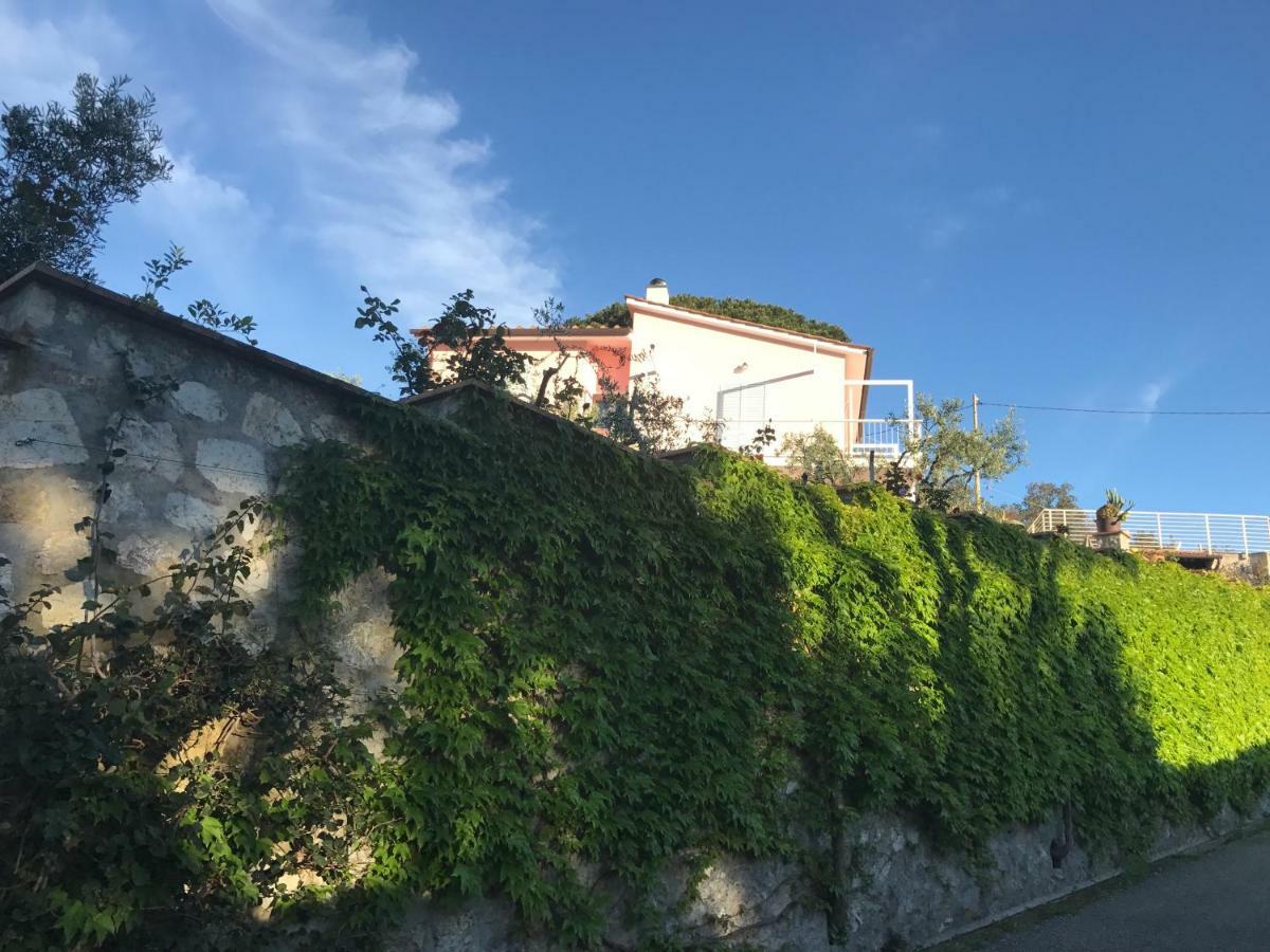 Villa Il Roseto Redinoce Проккьо Екстер'єр фото